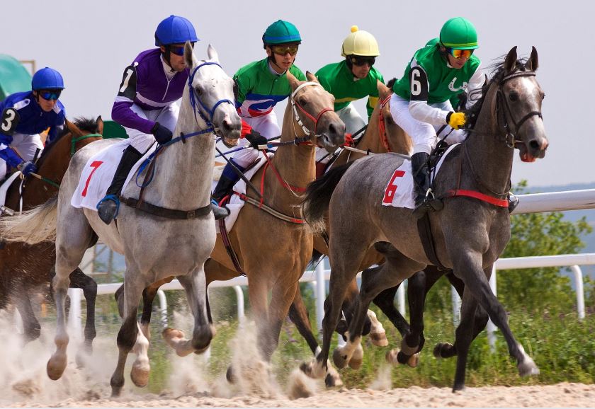 競馬 初心者
