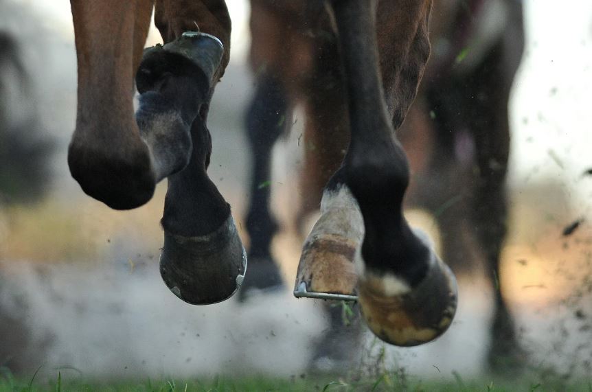 深く考えない競馬