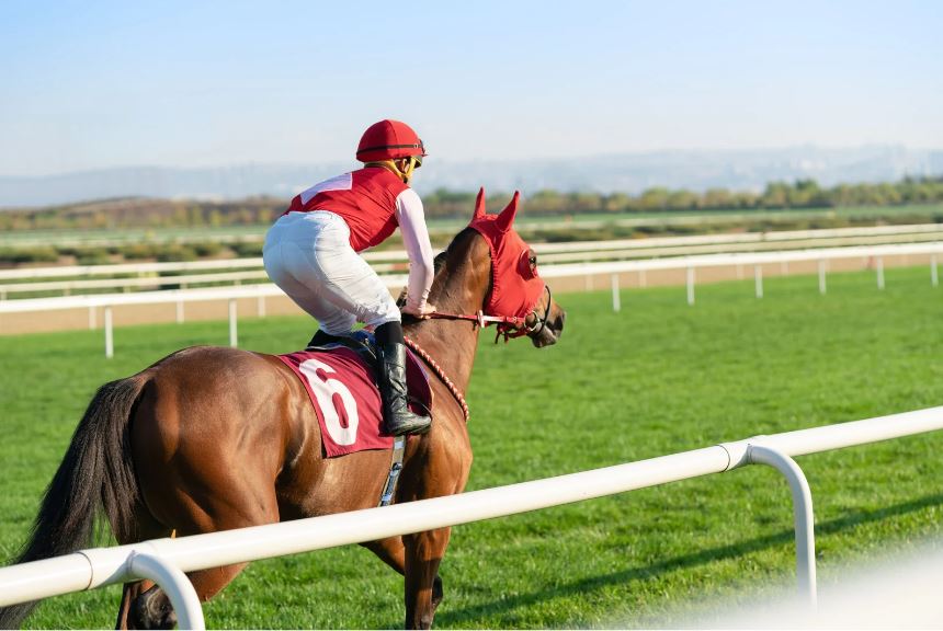 世界の競馬