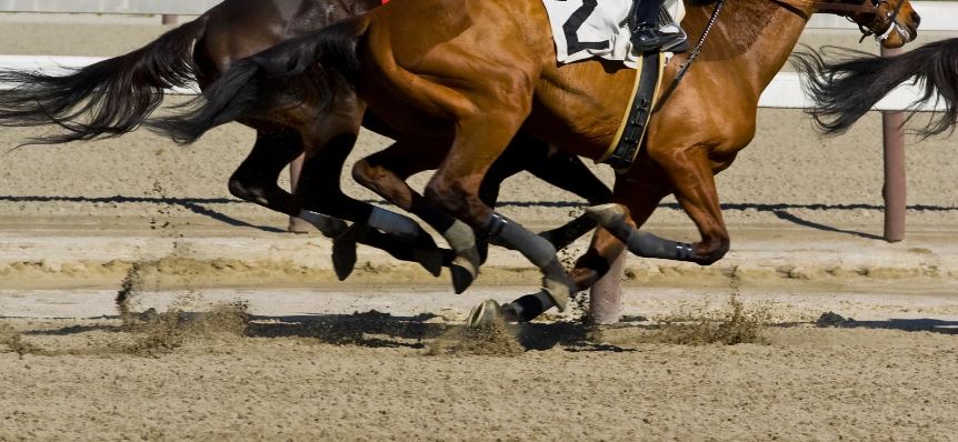 競馬 複勝が一番